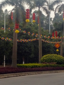 Street decorated for the Chinese New Year